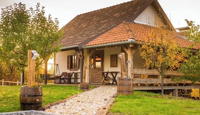 Charming home with terrace and BBQ in peaceful Slavonian countryside.