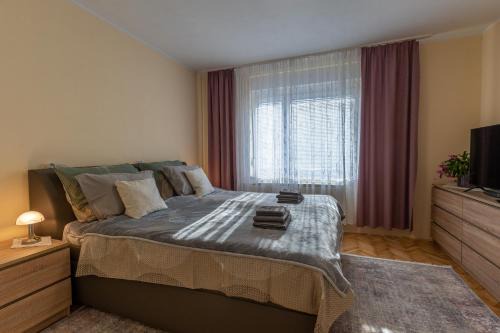 Cosy house - Home base in Maribor