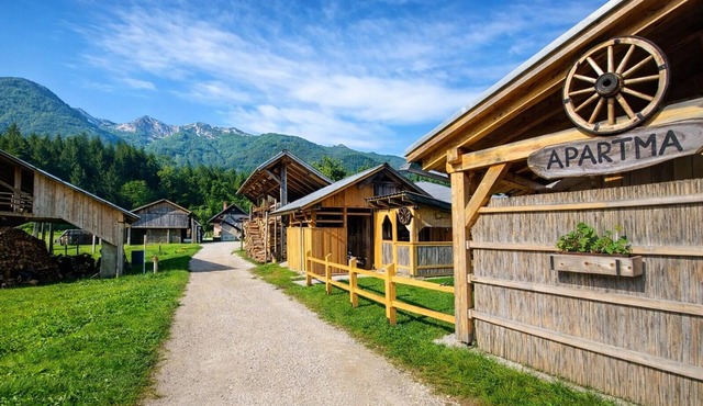 Cozy Alpine Apartment near Lake Bohinj, Free Bikes & No Extra Fees in Bohinjska Bistrica