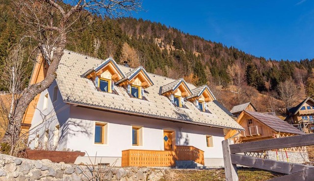 Dandelion House in Bohinj