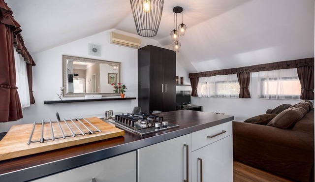 Dog-friendly apartment just 300 meters from the beach