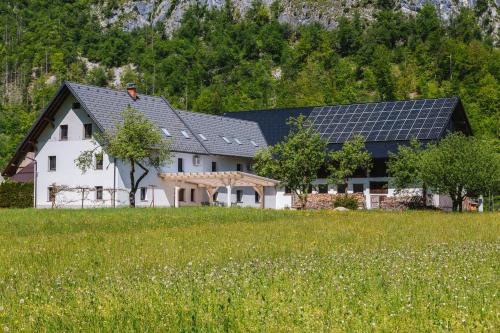 Domačija Log v Bohinju in Bohinjska Bistrica