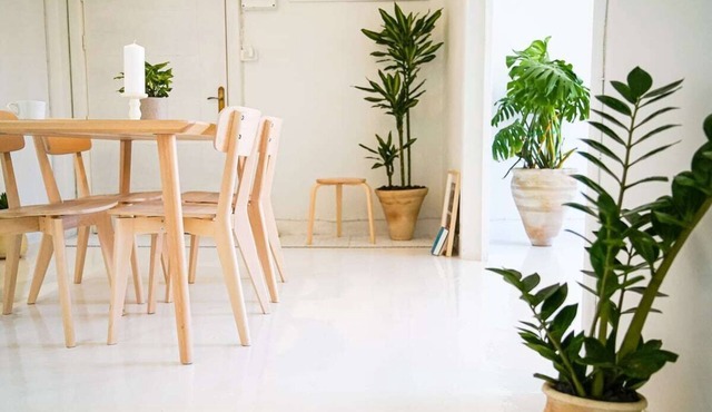 Dreamy White Minimalist 2 Bed/Bath with Garden in Amman