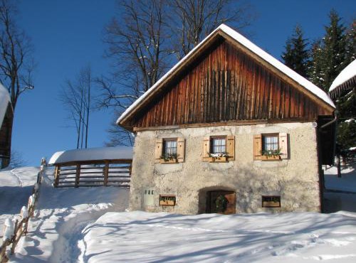 ETNO HOUSE GOSTECE- Suite with Finnish sauna in Mozirje
