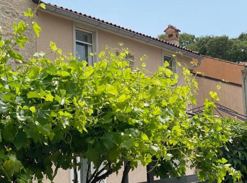 Farfalle di Valle in Bale