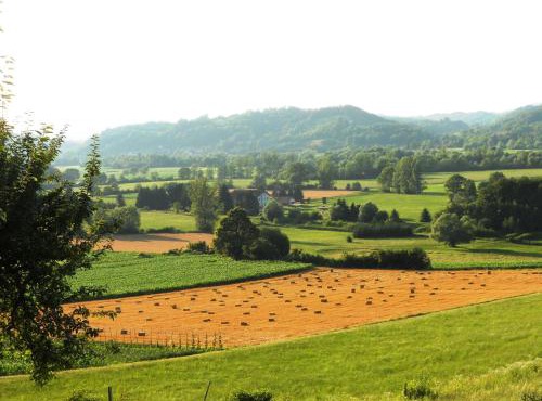 Farm Stay Kramer in Bistrica ob Sotli