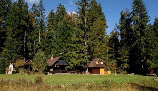 Fikfak cottage in Bled