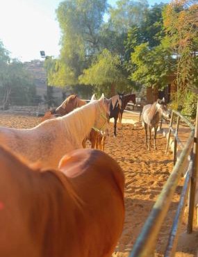 Forest Hill Guest House in Tal‘at ar Ruzz