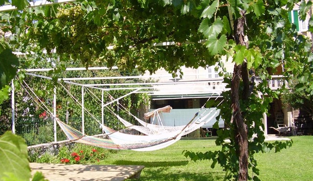 Guest House Darinka