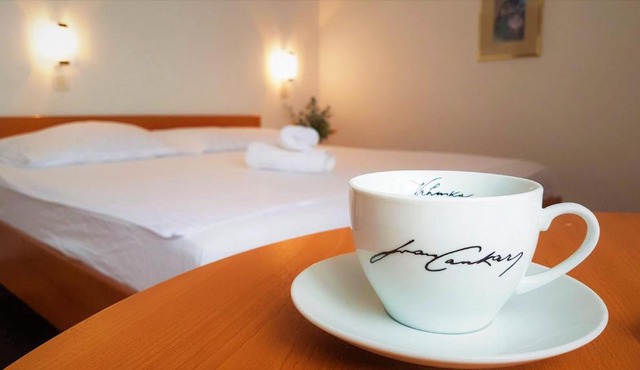 Guesthouse Bajc in Vrhnika