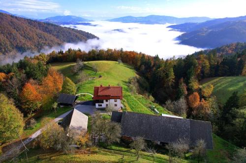 Healing Farm in Gorenja vas-Poljane