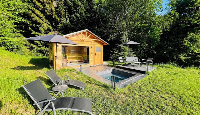 Hiša Podlog - Wellness Getaway with Private Spa in Šentjur