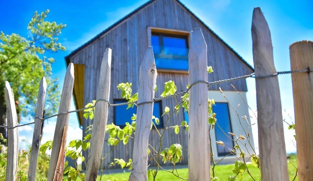 Hisa Vukan - Eco House in middle of vineyard with Sauna! in Ormoz