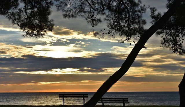 Holiday apartment in quiet surroundings with sea view in Savudrija