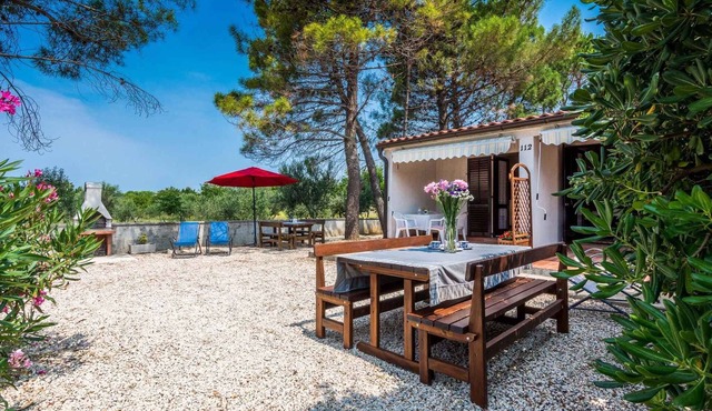 Holiday apartment in quite surroundings with terrace in Privlaka
