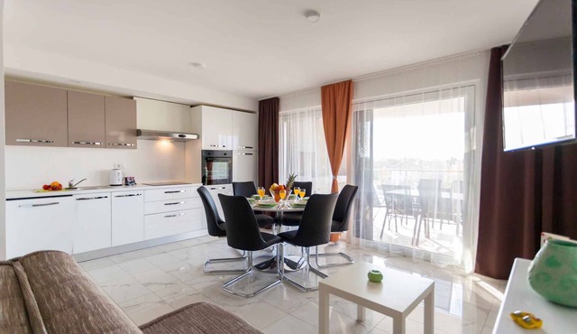 Holiday apartment with air conditioning and balcony in Milcetici