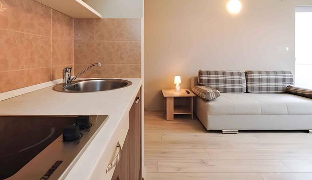 Holiday apartment with air conditioning and internet
