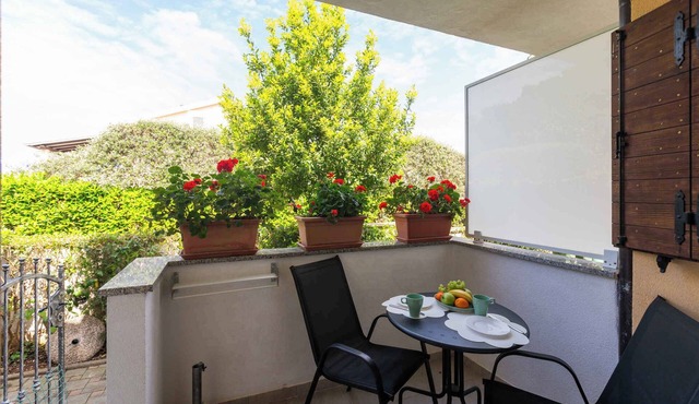 Holiday apartment with terrace