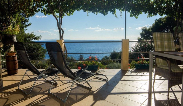 Holiday house Ani - 30 m from beach : - Maslinica, Island Solta, Croatia