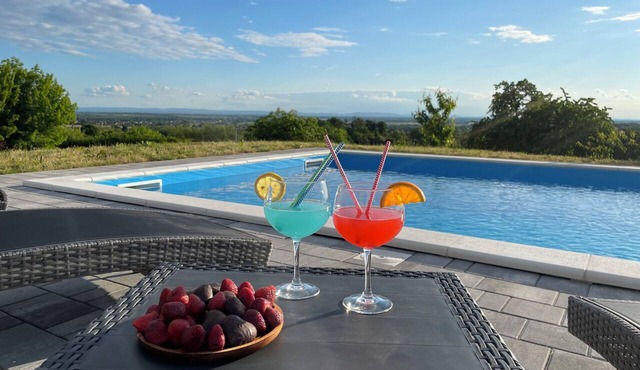 Home with pool and terrace in Moslavina amid vineyards and Lonjsko Polje.
