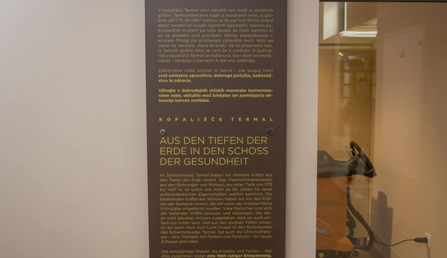 Hotel Termal - Sava Hotels & Resorts in Moravske Toplice