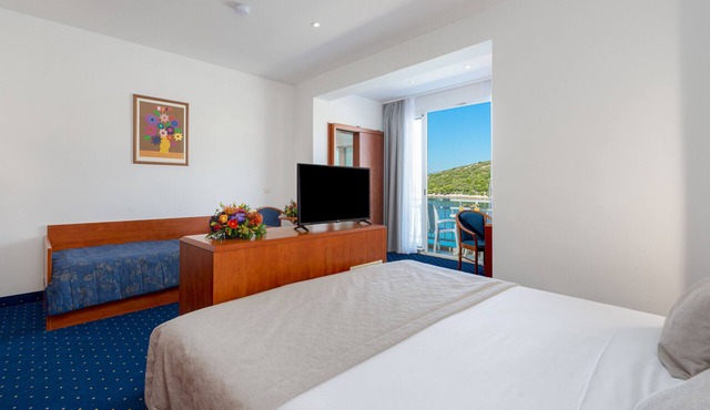 Hotel Vis