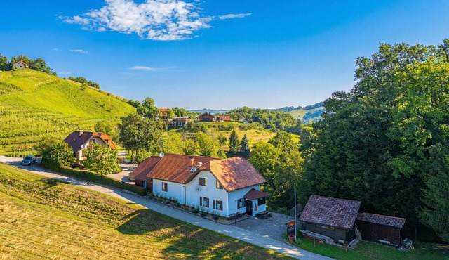 House Marija with BBQ & Garden, Cirkulane, Slovenia in Cirkulane