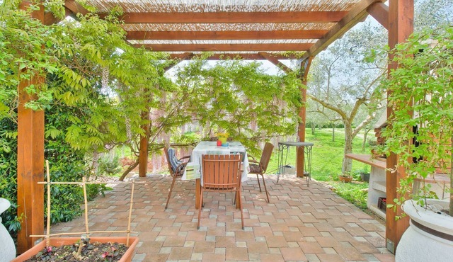 Idyllic flat just 500 metres from the beach with sunbathing lawn and barbecue