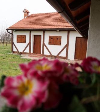 Kuća za odmor Drava in Hlebine
