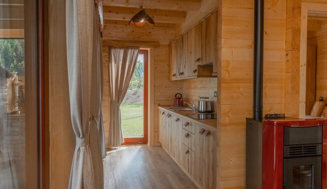 Lake Cottage - Koča ob jezeru in Vidrga