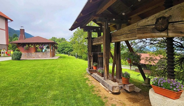 Large family apartment for 12 people with private estate & animals in Šentjanž nad Štorami