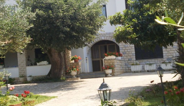 Licul Modern retreat