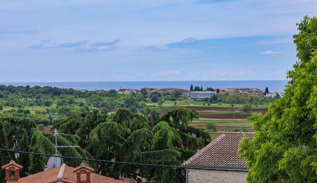 Lovely apartment in villa for 3 guests with WIFI, A/C, TV, terrace and pets allowed