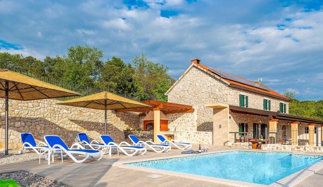 Luxurious home in Vid with private swimming pool, can be inside or outside in Vid