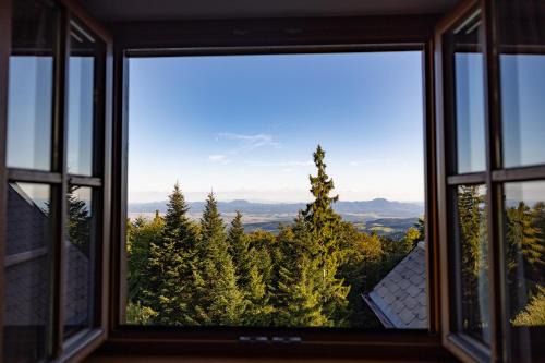 Luxury apartments Prežin in Hoce-Slivnica