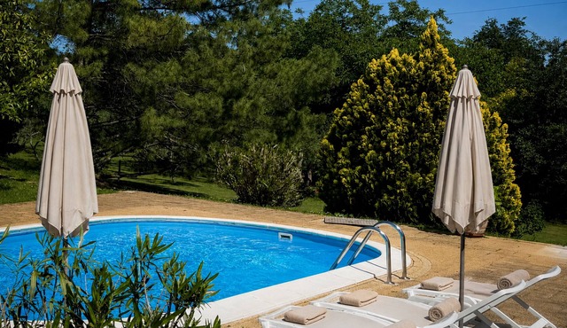 Marisa Olive Grove - App Sole, Labin, Croatia