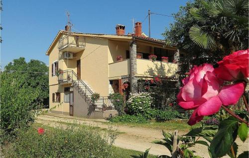Mariza in Rošini
