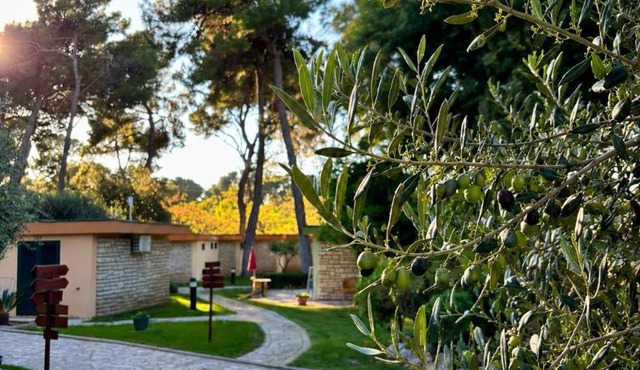 Mediterranean Village San Antonio