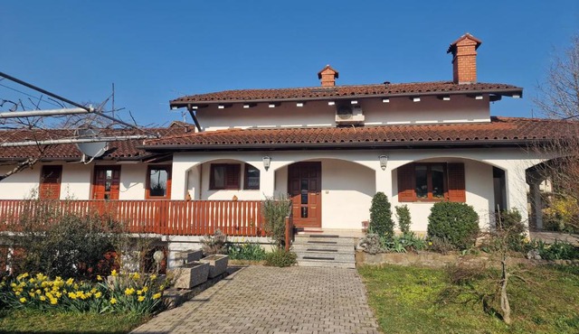Merlin in Miren-Kostanjevica