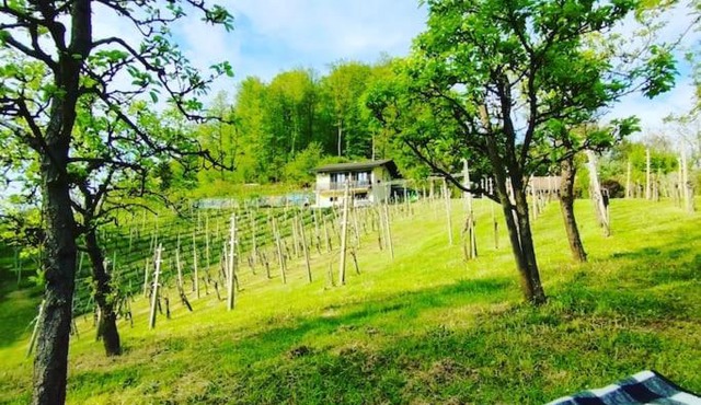 Mini hiška v objemu vinograda in Pristava pri Mestinju