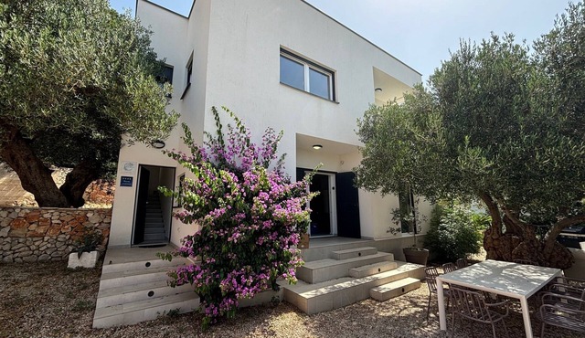 Modern Villa Oleana with heated pool in Makarska in Makarska