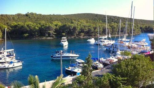 Molat Bay View in Molat