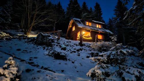 Mountain Cabin on Dobrča - Alpine Views -Foot Access Only in Tržič