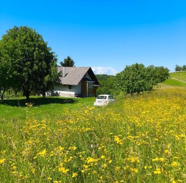 NANI HOUSE, Nature Stay by Gorjanci in Brezice