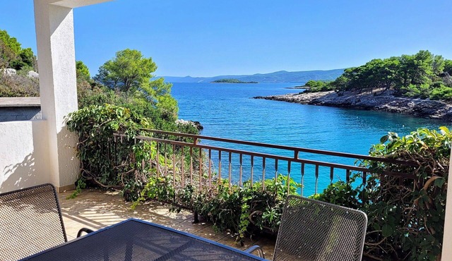 Nice apartment for 3 guests with WIFI, TV, balcony and pets allowed