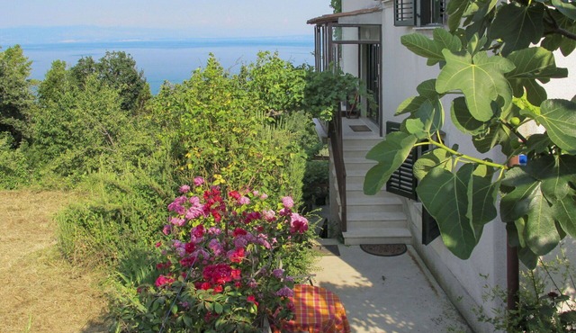 Nice apartment for 4 people with WIFI, A/C, TV and terrace in Rijeka