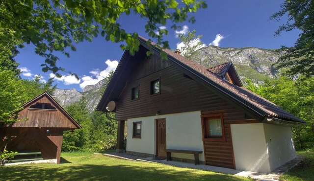 Nice apartment for 5 people with TV and patio in Jesenice