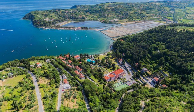Nice apartment with pool, WIFI, A/C, TV, terrace, pets allowed, panoramic view and parking in Izola