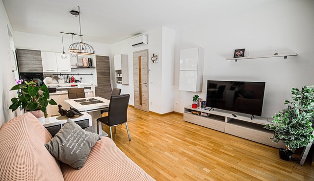One Bedroom Apartment in Ljubljana
