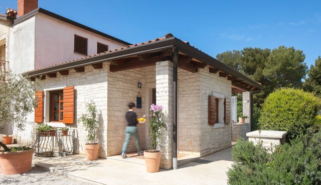 One bedroom apartment with terrace Novigrad (A-7053-a)